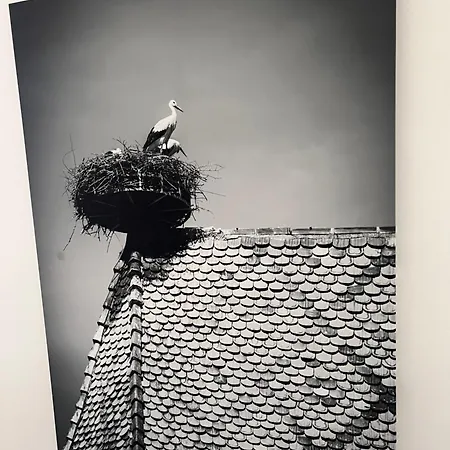 Du Bel Alsace Cote Vignoble Apartament